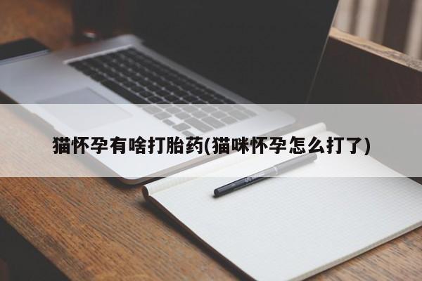 堕胎药猫怀孕有啥打胎药(猫咪怀孕怎么打了)