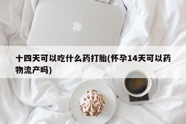 堕胎药十四天可以吃什么药打胎(怀孕14天可以药物流产吗)