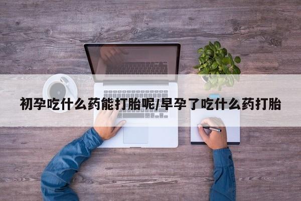 堕胎药初孕吃什么药能打胎呢/早孕了吃什么药打胎